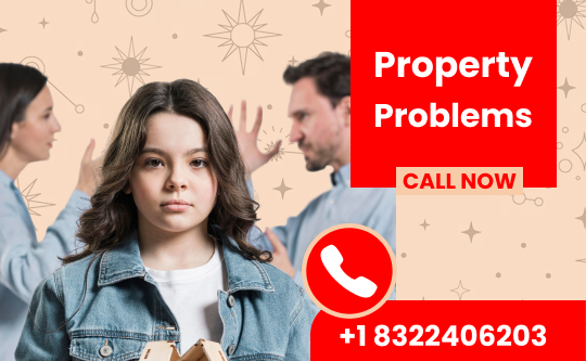 Best Property Problem Solution Astrologer